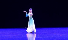 梨花雨脚镣视频,探寻古典与现代的交融之美